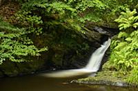 Small waterfall on river in deciduous woodland, Af