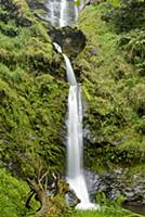 View of waterfall flowing over cliff, Pistyll Rhae