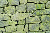 Close-up of lichen covered drystone wall, North St