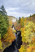 View of river flowing through mixed woodland in au