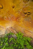 Geological rock formations in the sandstone cliffs