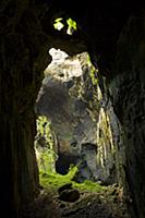 Gomantong caves with ladder for collecting Swiftle