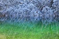 Colourful water with reflections in snow, Plitvice