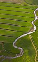 Agricultural landscape in Selfoss, Southwest Icela
