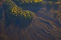 Aerial view of taiga forest and peat wetlands in a