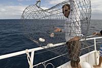 Researcher Jaap on board research boat 'Undersea E