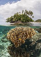 Split level of coral reef and a tropical island. R