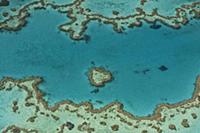 Aerial view of Hardy Reef, Great Barrier Reef, Aug