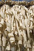 Pandanus leaves drying in the sun, Tonga, Melanesi