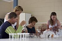 Octocorals collected and processed by Katharina Fa