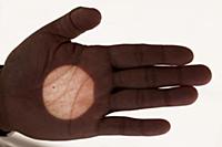 Transit of the planet Venus acros the Sun, project