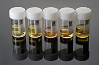 Invertebrate specimens for the Barcode of Life pro