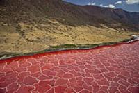 Soda and algae formations near shore of Lake Natro