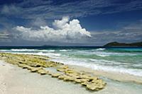 Shoreline, Cousin Island, Seychelles