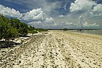 Beach, Aldabra, Seychelles