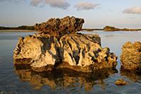 Rock formation, Aldabra, Seychelles