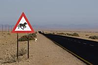 Namib Desert Horse (Equus caballus) warning sign, 