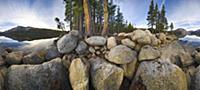 Coniferous trees and massive boulders along Tenaya