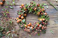 Wreath of rosehips on wooden table