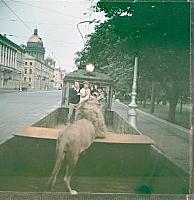 Кадр из фильма «Невероятные приключения итальянцев