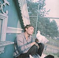 Кадр из фильма «Любовь и голуби». На фото: Алексан