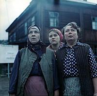Кадр из фильма «Любовь и голуби», (1984).