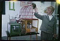 Кадр из фильма «Внимание, черепаха!», (1970).