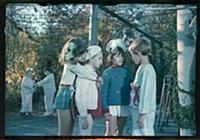 Кадр из фильма «Внимание, черепаха!», (1970).