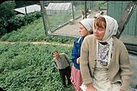 Кадр из фильма «Любовь и голуби». На фото: Нина До