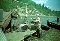 Кадр из фильма «Хозяин тайги», (1968). На фото: Вл