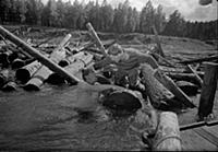 Кадр из фильма «Хозяин тайги», (1968).