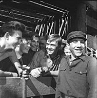 Кадр из фильма: «Друг мой, Колька», (1961). На фот