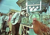 Кадр из фильма: «Без страха и упрека», (1962). На 