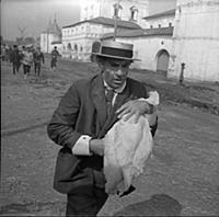 Кадры из фильма «Золотой теленок», (1968)