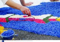 Фестиваль 'The Infiorata del Corpus Christi Festival'