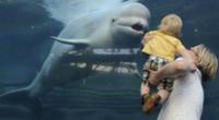 На фото: 3-летняя Вероника и Белуха Джуно в океана