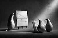 Необычное: фотографии Виктории Ивановой