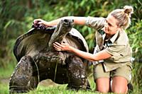 Гигантская черепаха празднует свое 100-летие