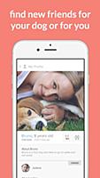 Tindog - приложение для знакомства с другими хоязевами собак