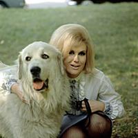 Dusty Springfield 1964. Mandatory Credit: Photo by