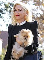 Gwen Stefani
Gwen Stefani and family out and abou
