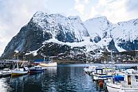 Fishing boats in harbour, Reine, Lofoten, Norway
