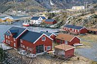 High angle view of houses in Reine, Lofoten, Norwa