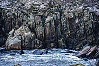 View of sea and rocky cliffs, Reine, Lofoten, Norw