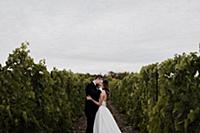 Romantic young bride and groom in vineyard on wedd
