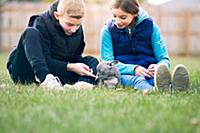 Children playing with puppy on grass
