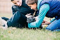 Children playing with puppy on grass