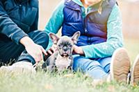 Children playing with puppy on grass