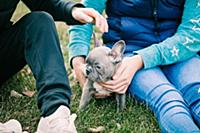 Children playing with puppy on grass