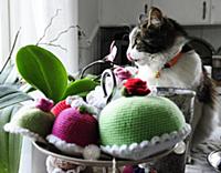DEJE, SWEDEN 2015-04-29
Melvin the cat is a notori